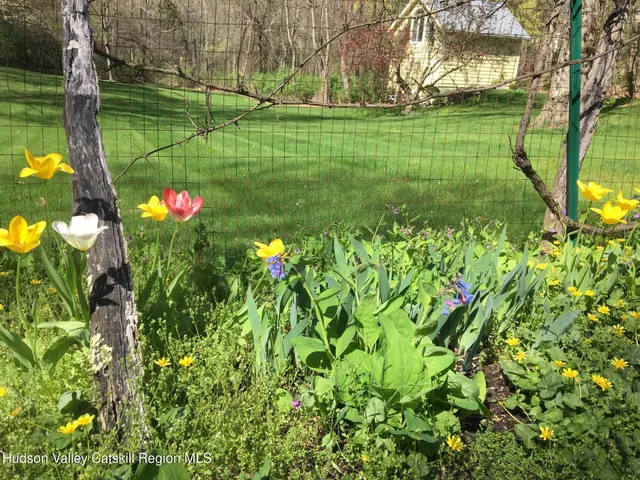 a view of a golf course with a tree