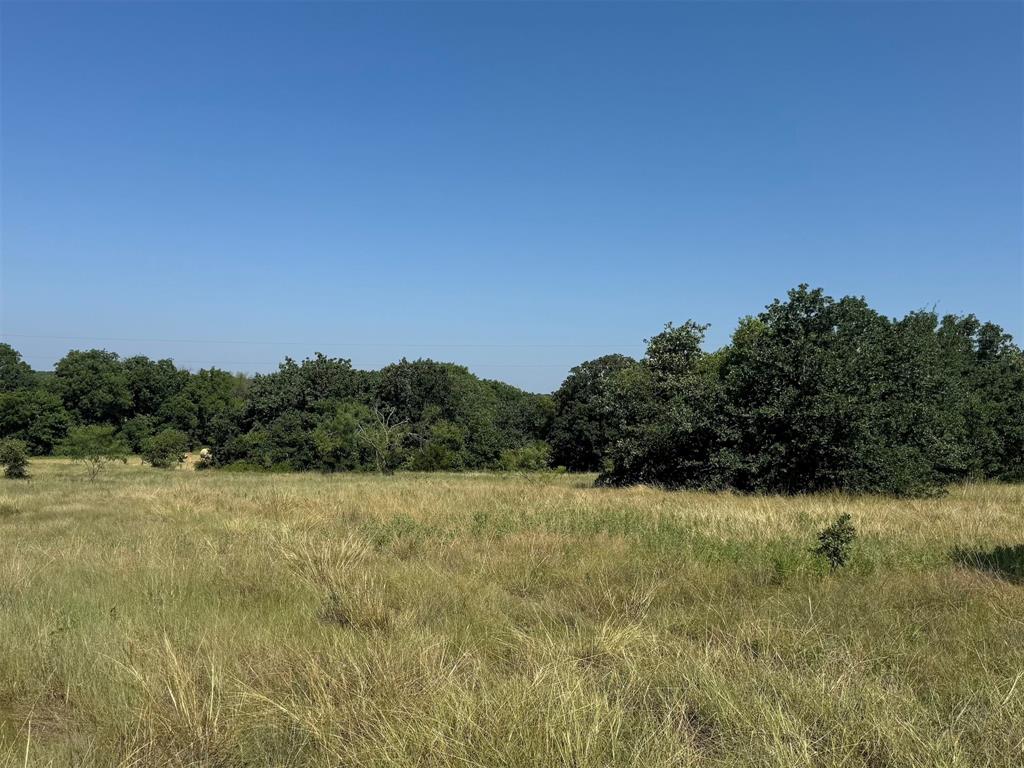 3264 Fruitland Road Sunset, TX 76270 - Photo 3 of 6 pasture