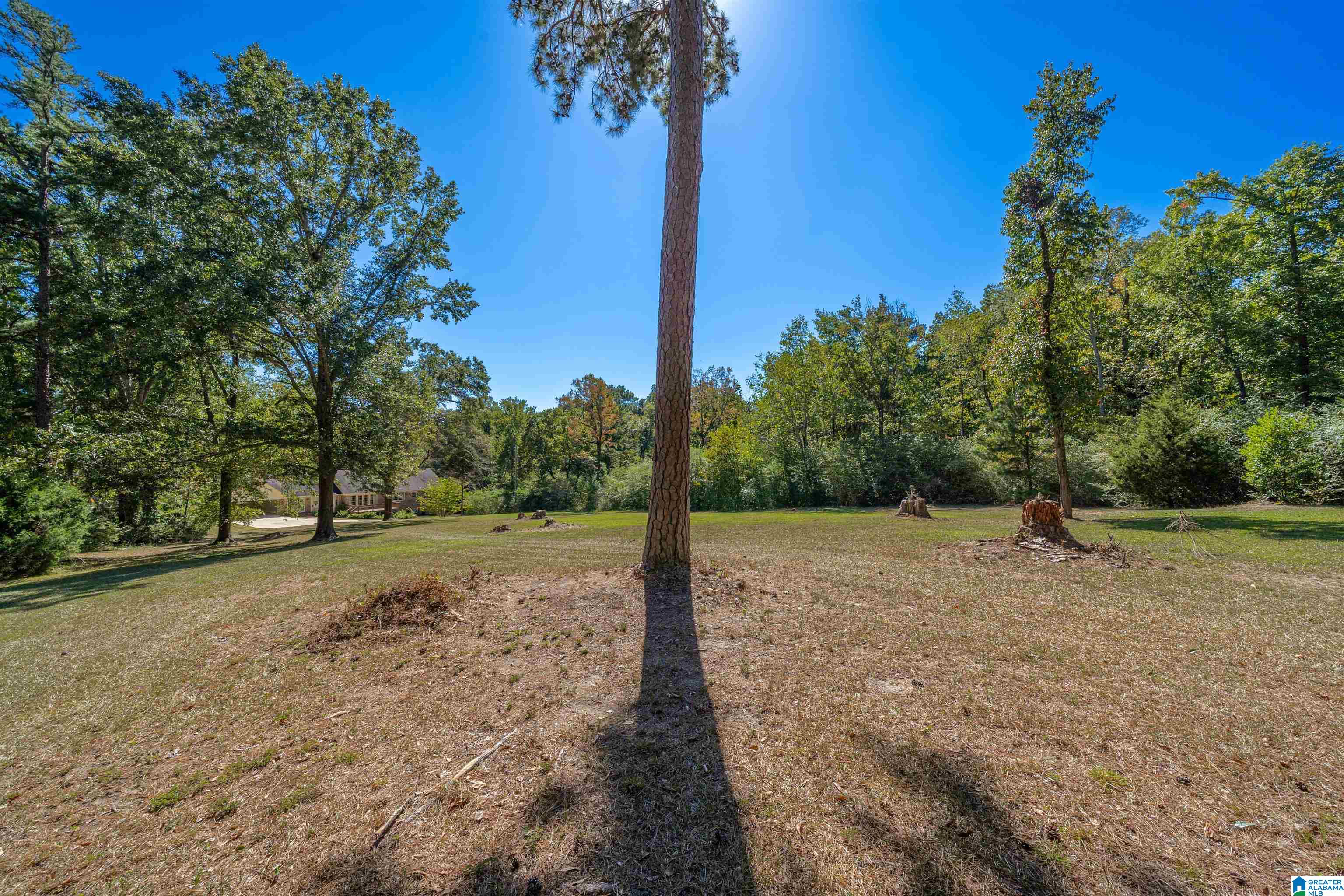 916 Hitching Post Lane Birmingham, AL 35210 - Photo 43 of 50