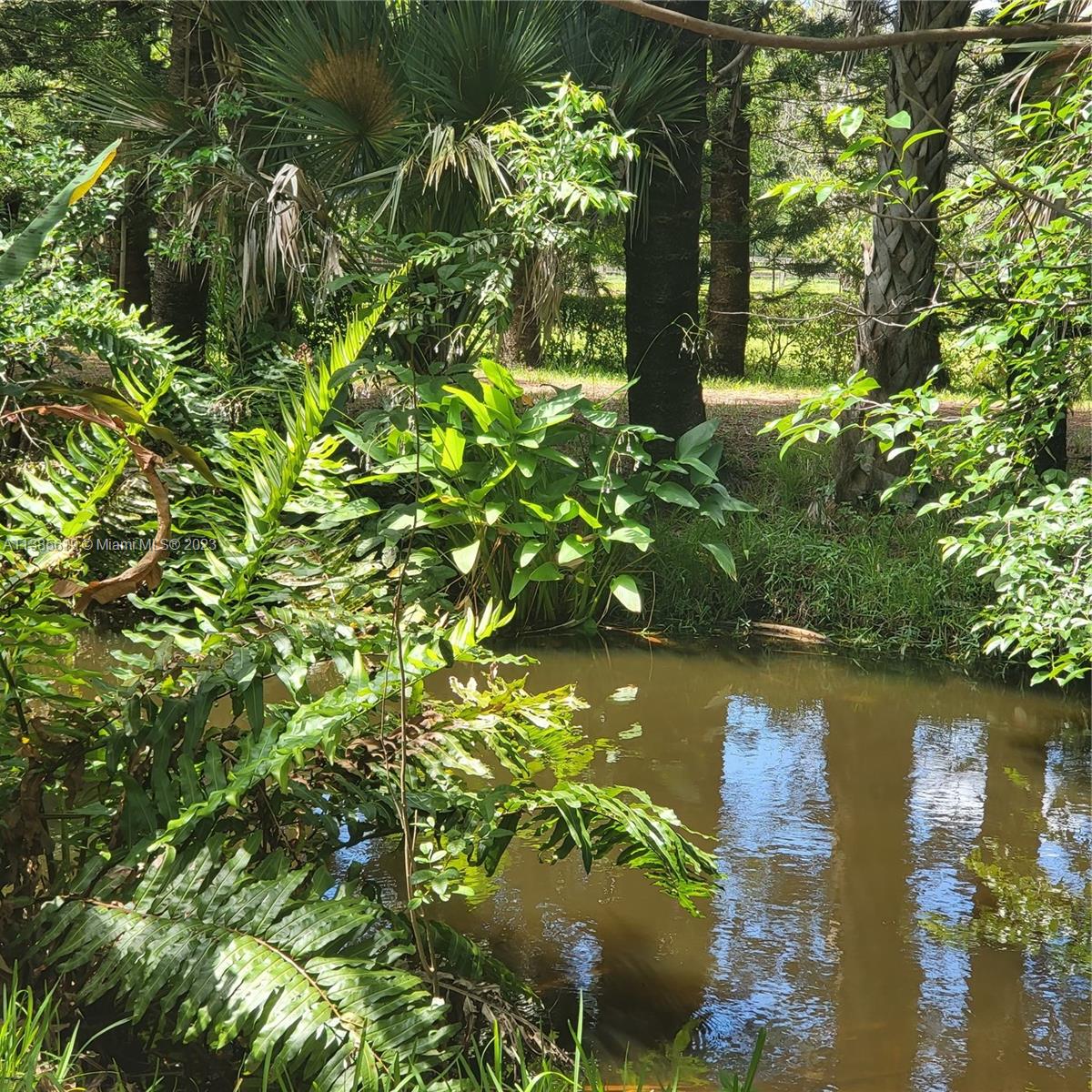 915 B Road Loxahatchee, FL 33470 - Photo 13 of 42 a view of a tree