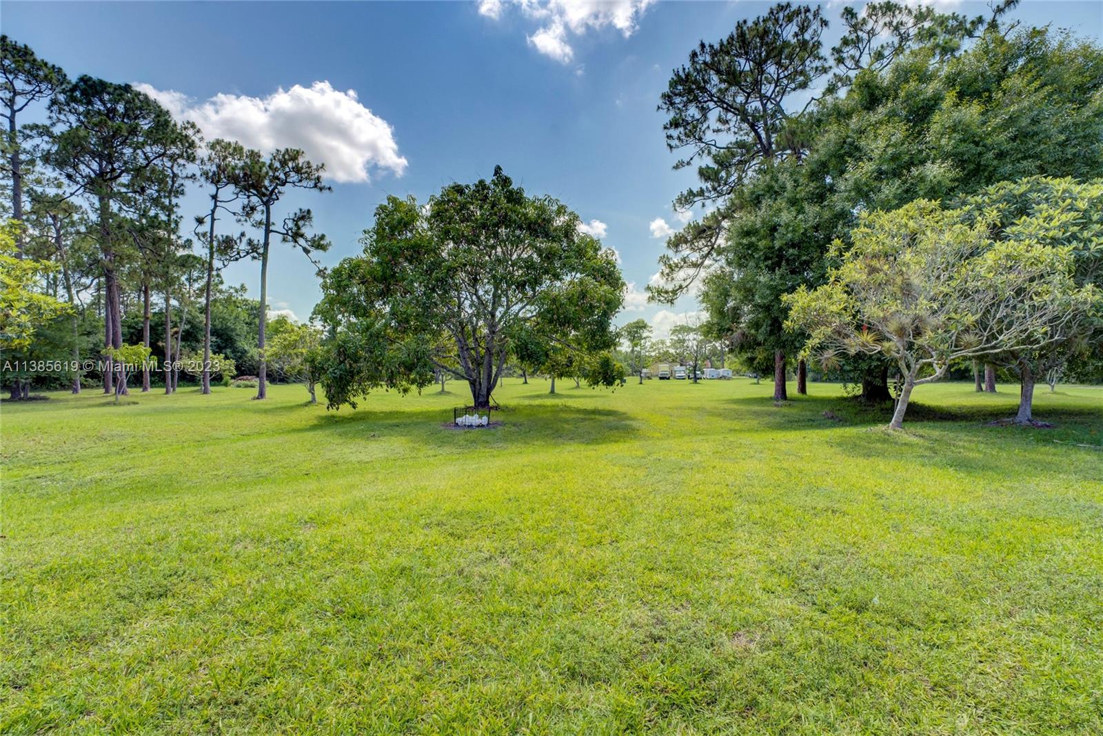 915 B Road Loxahatchee, FL 33470 - Photo 20 of 42 a view of a trees in a park