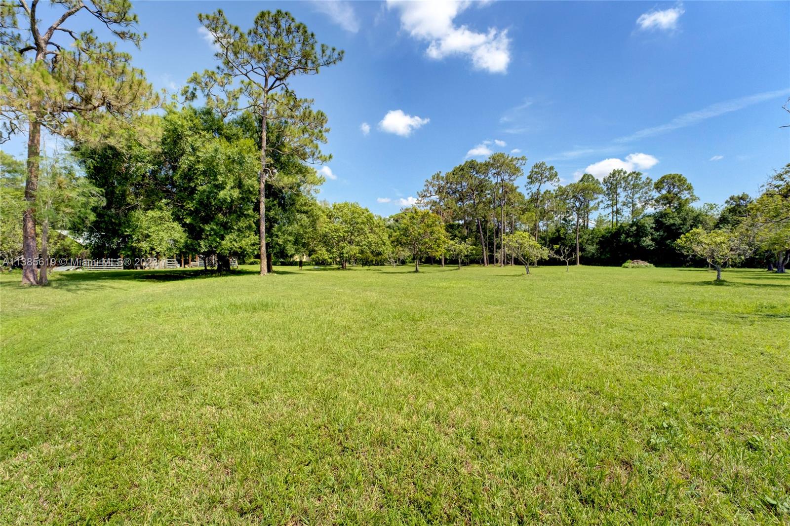 915 B Road Loxahatchee, FL 33470 - Photo 21 of 42 a view of a trees with a big yard