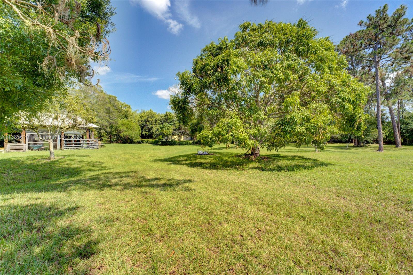 915 B Road Loxahatchee, FL 33470 - Photo 23 of 42 a view of a tree in a yard