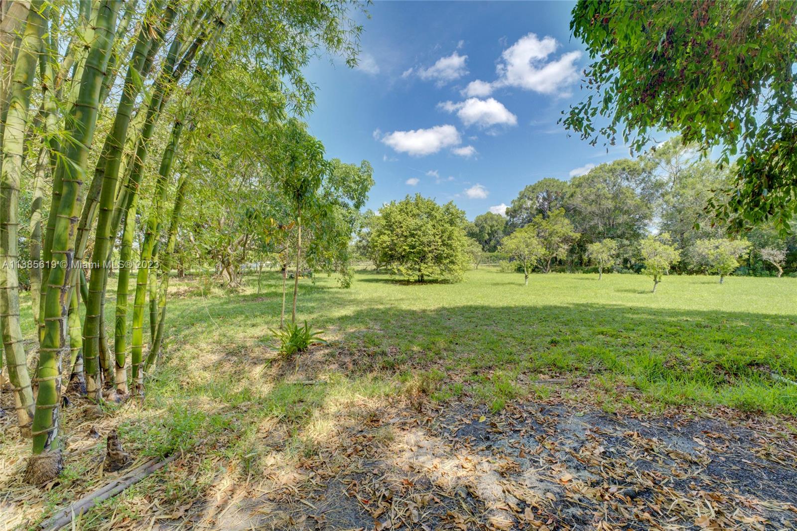 915 B Road Loxahatchee, FL 33470 - Photo 26 of 42 a view of a green field with lots of bushes