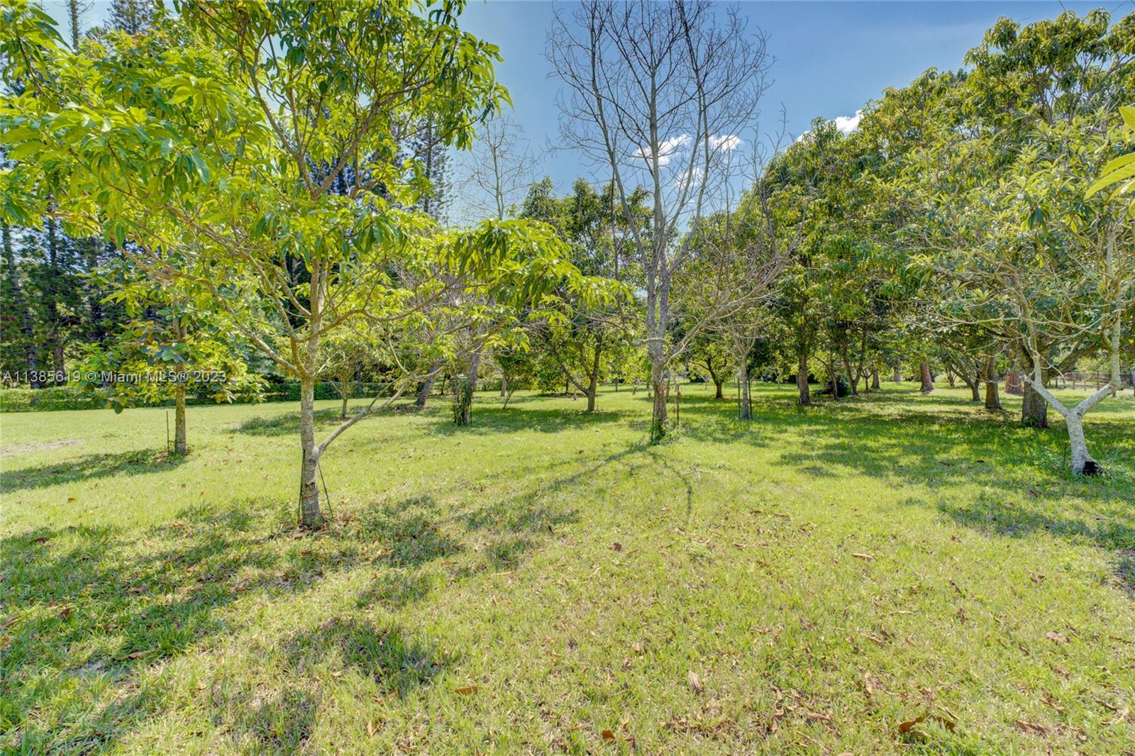 915 B Road Loxahatchee, FL 33470 - Photo 27 of 42 a view of a park with large trees
