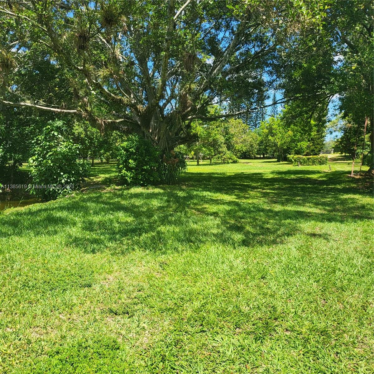 915 B Road Loxahatchee, FL 33470 - Photo 5 of 42 a view of a trees with a yard