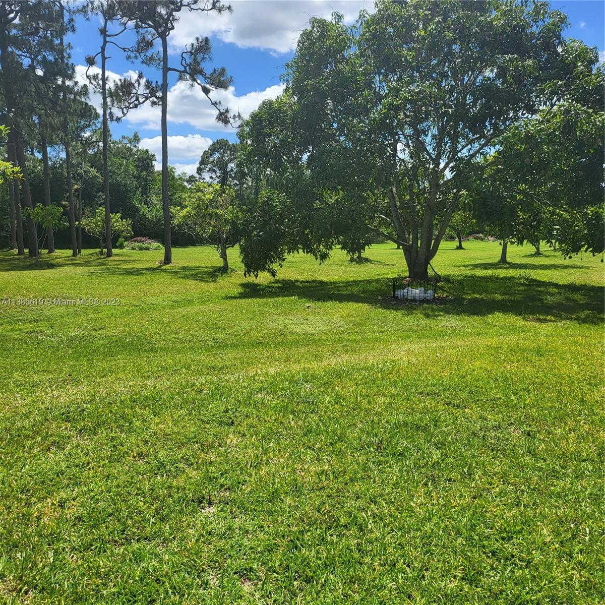 915 B Road Loxahatchee, FL 33470 - Photo 6 of 42 a yard with lots of green space and trees