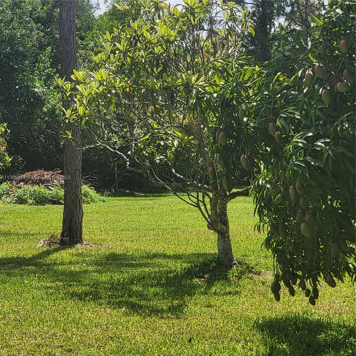 915 B Road Loxahatchee, FL 33470 - Photo 7 of 42 a view of a park
