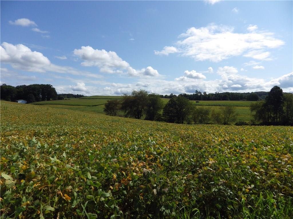 . Plaza Road Indiana, PA 15701 - Photo 4 of 12