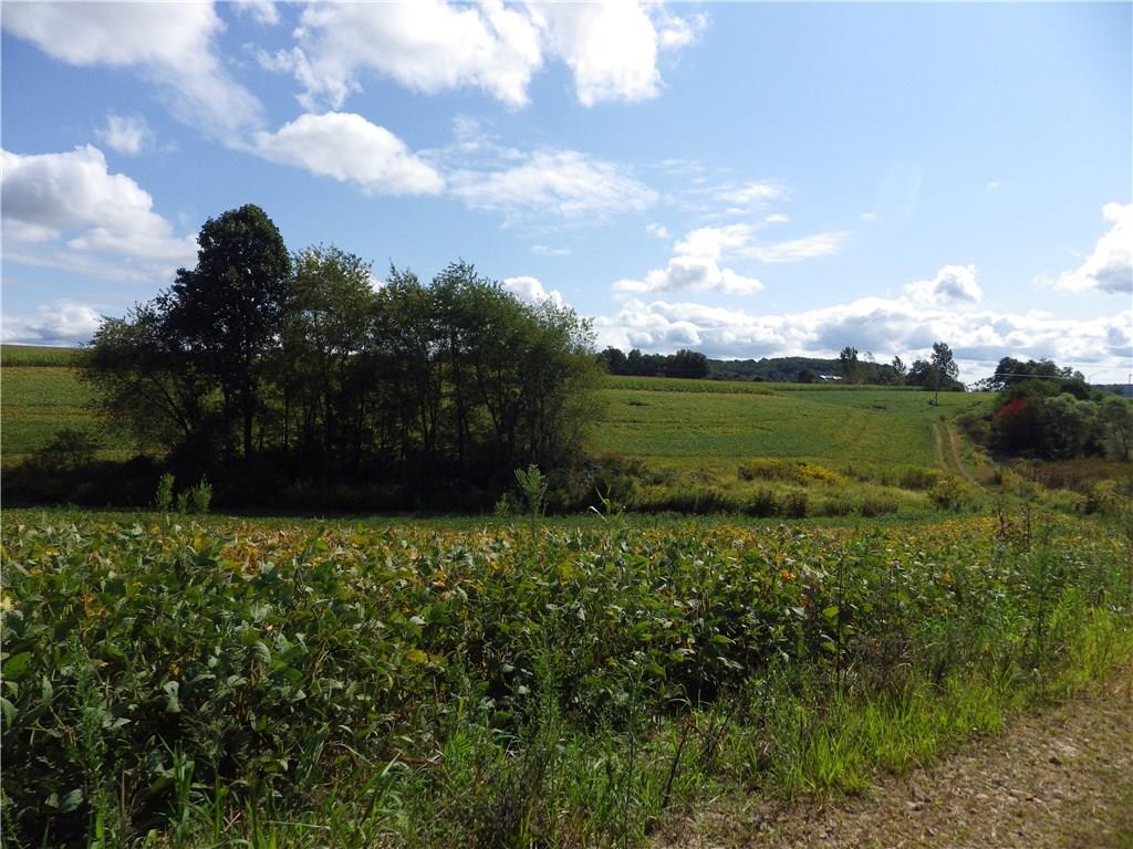 . Plaza Road Indiana, PA 15701 - Photo 7 of 12