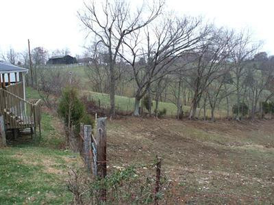 1807 Willisburg Road Lawrenceburg, KY 40342 - Photo 12 of 16 Photo 12