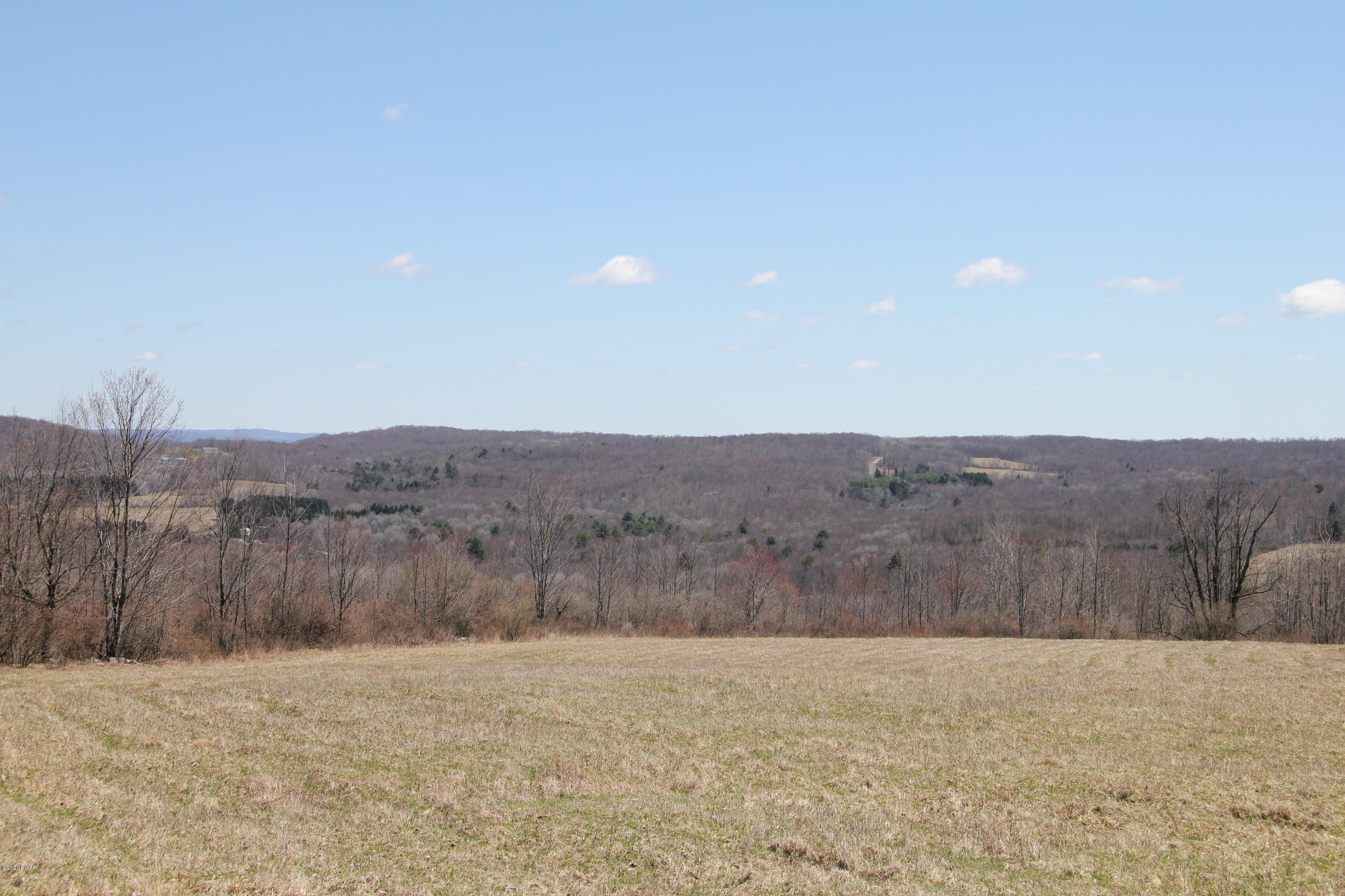 695 Pine Mill Road Equinunk, PA 18417 - Photo 65 of 68