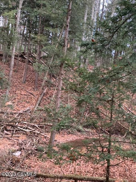 0 Central Road Benton, PA 17814 - Photo 5 of 16