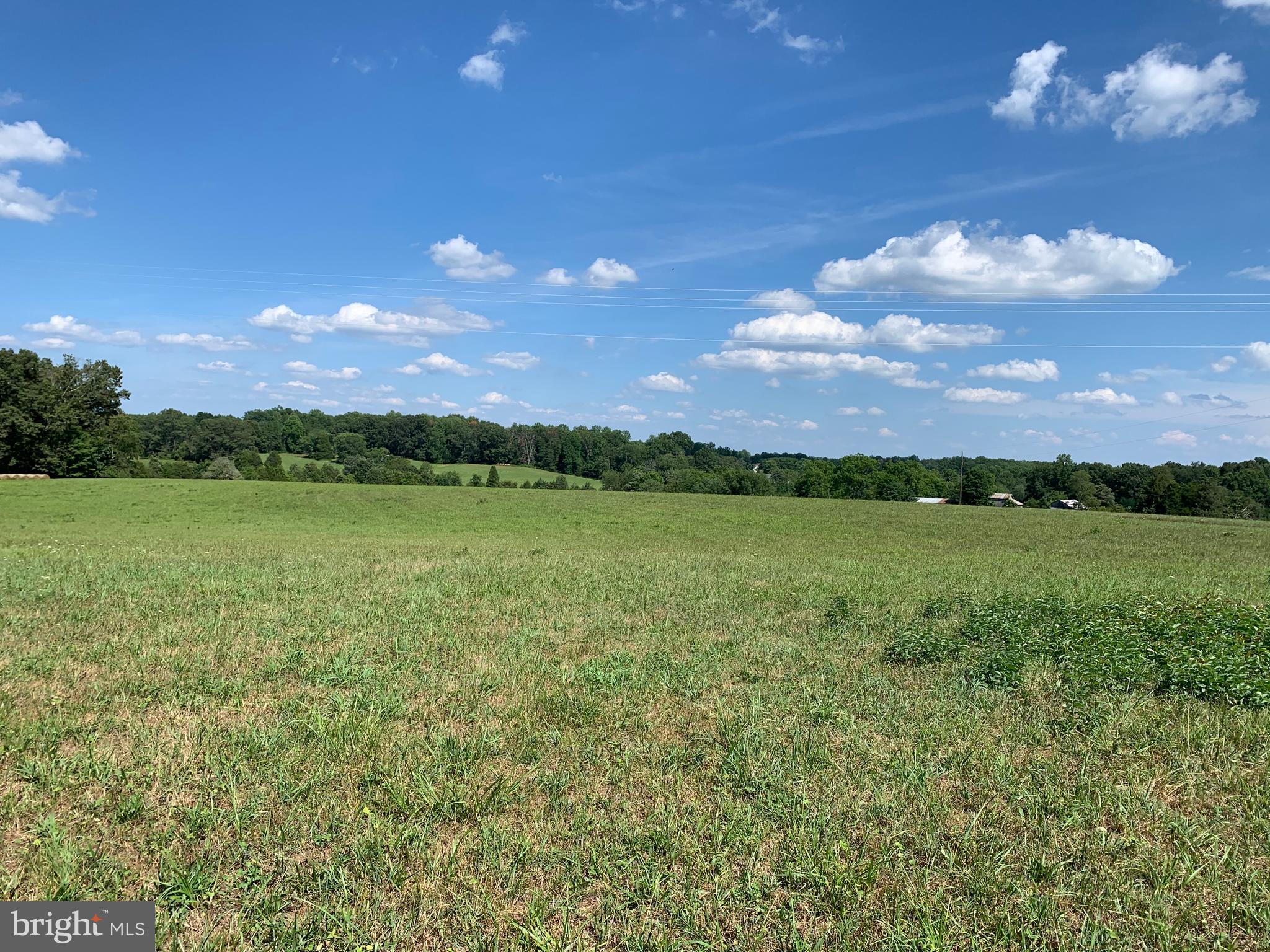 11201 Tower Road Unionville, VA 22567 - Photo 2 of 6 Gallery Image 2