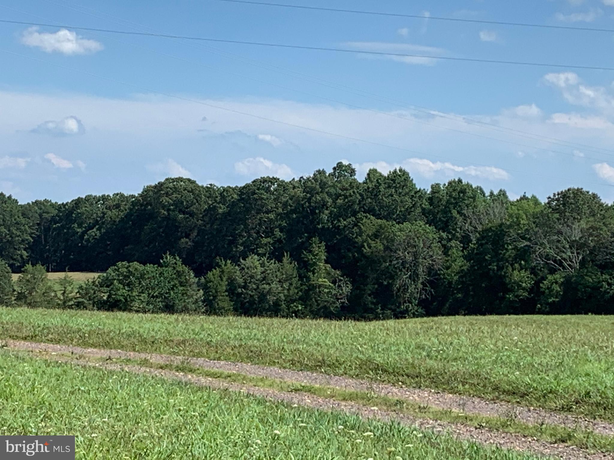 11201 Tower Road Unionville, VA 22567 - Photo 4 of 6 Gallery Image 4