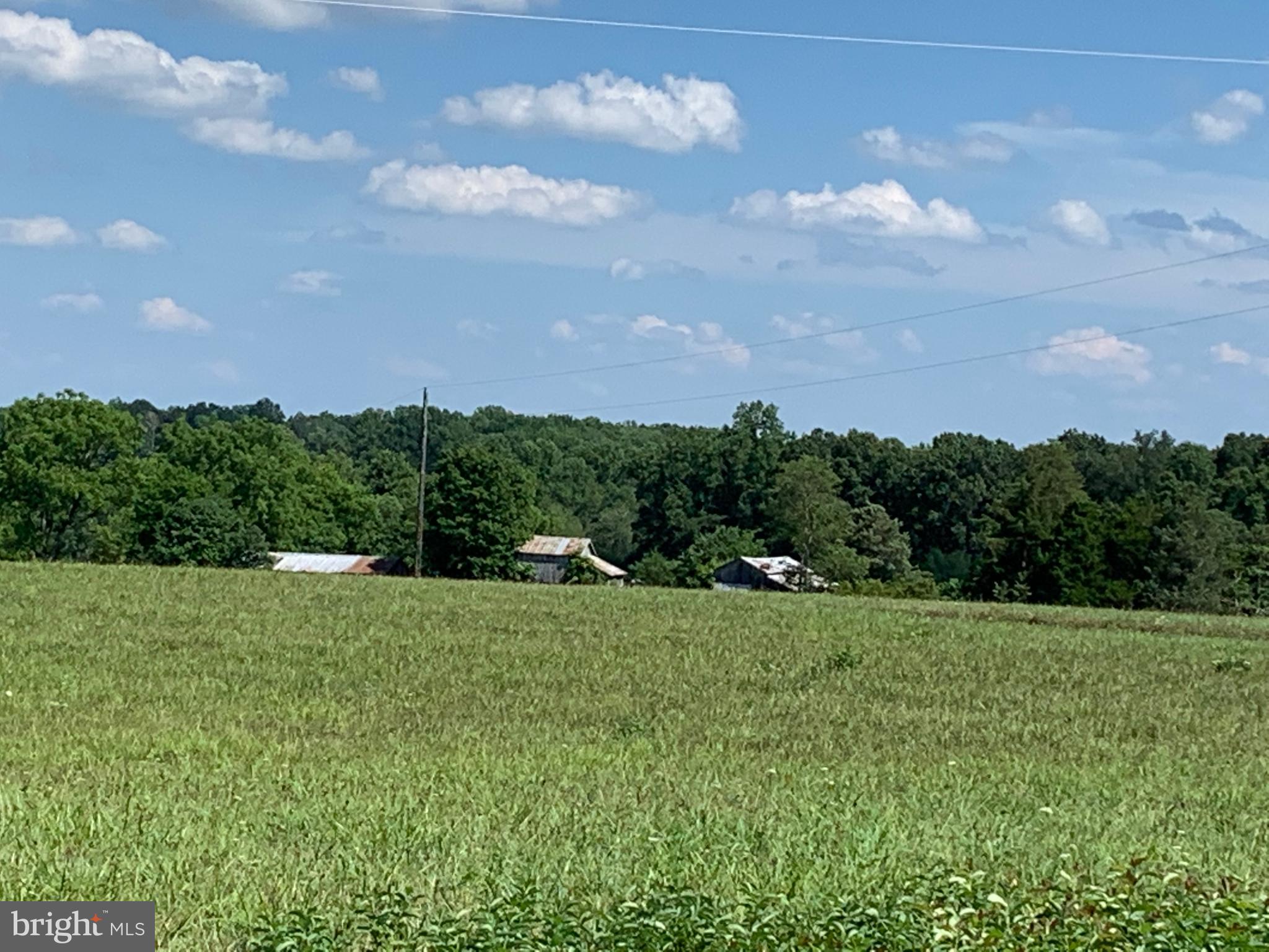 11201 Tower Road Unionville, VA 22567 - Photo 6 of 6 Gallery Image 6