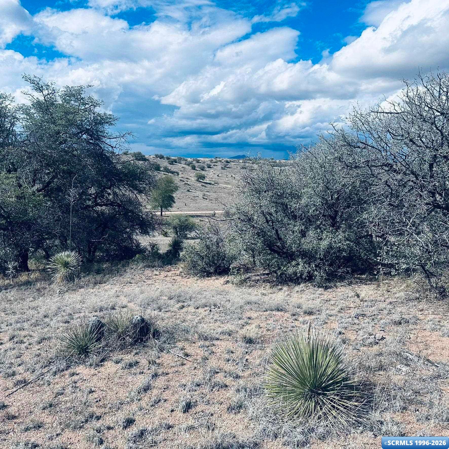 250 Salars Road Silver City, NM 88061 - Photo 30 of 48 Gallery Image 30