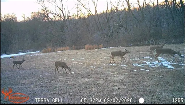 $142,500 | 20401 East Bundschu Road, Independence, MO 64056