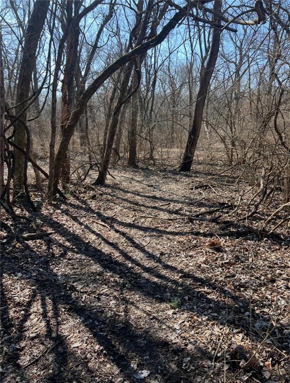 20401 East Bundschu Road Independence, MO 64056 - Photo 12 of 28