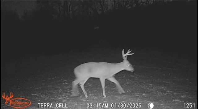 $142,500 | 20401 East Bundschu Road, Independence, MO 64056