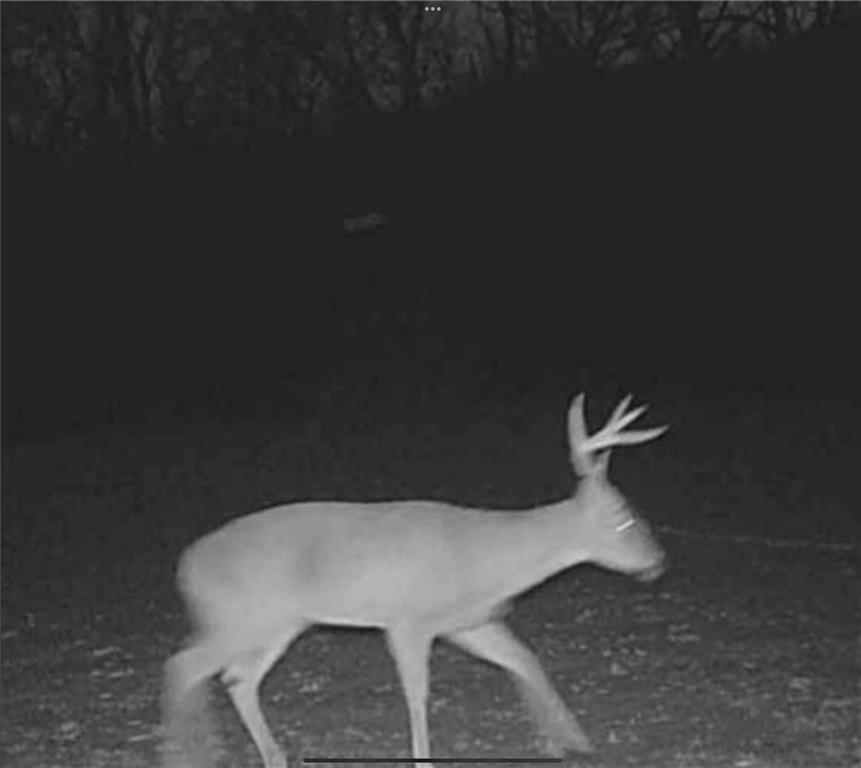 20401 East Bundschu Road Independence, MO 64056 - Photo 2 of 28