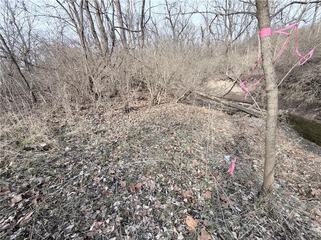 20401 East Bundschu Road Independence, MO 64056 - Photo 24 of 28