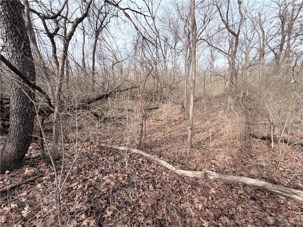 20401 East Bundschu Road Independence, MO 64056 - Photo 25 of 28