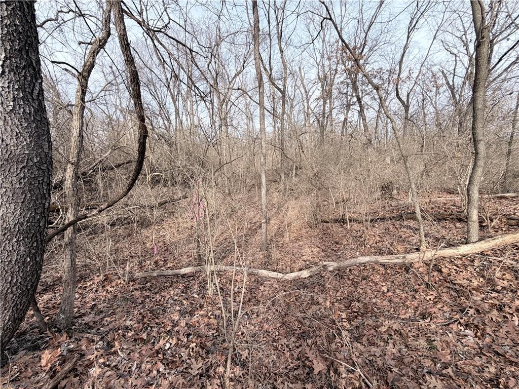 20401 East Bundschu Road Independence, MO 64056 - Photo 26 of 28