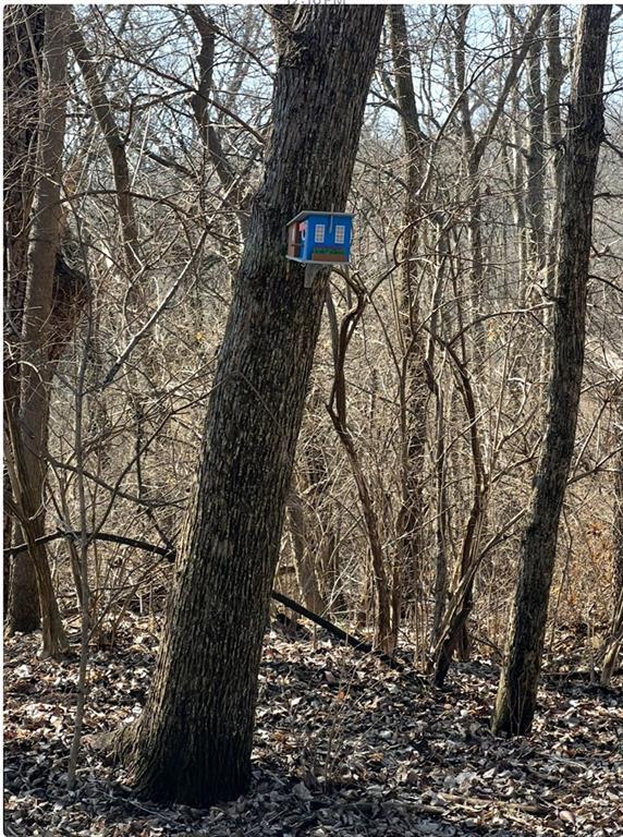 20401 East Bundschu Road Independence, MO 64056 - Photo 8 of 28