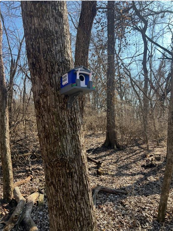 20401 East Bundschu Road Independence, MO 64056 - Photo 9 of 28