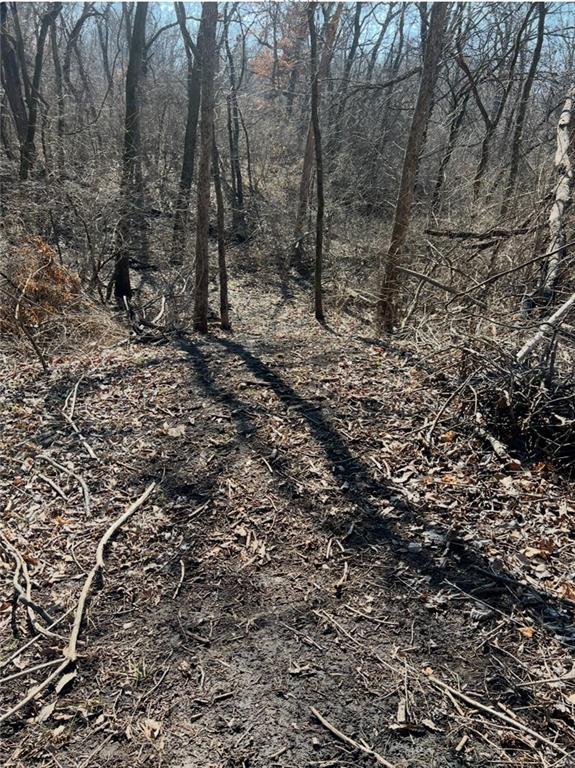 20401 East Bundschu Road Independence, MO 64056 - Photo 10 of 28