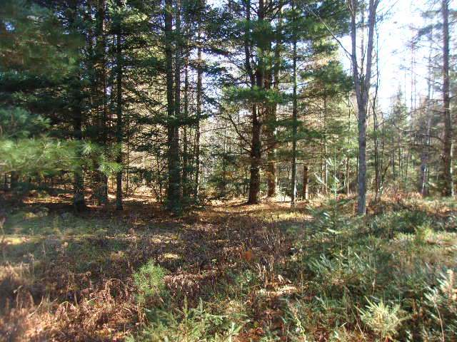 4557 Deadwood Road Park Falls, WI 54552 - Photo 11 of 16 Gallery Image 11