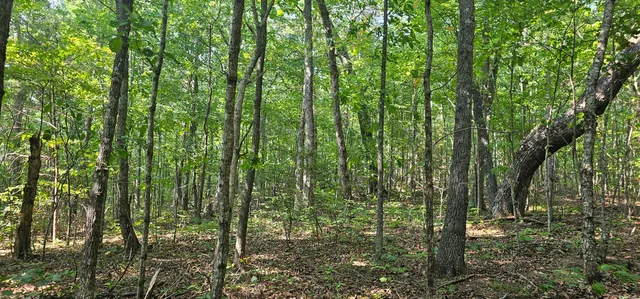 $67,000 | 266 Cove Hill Road, Pikeville, TN 37367