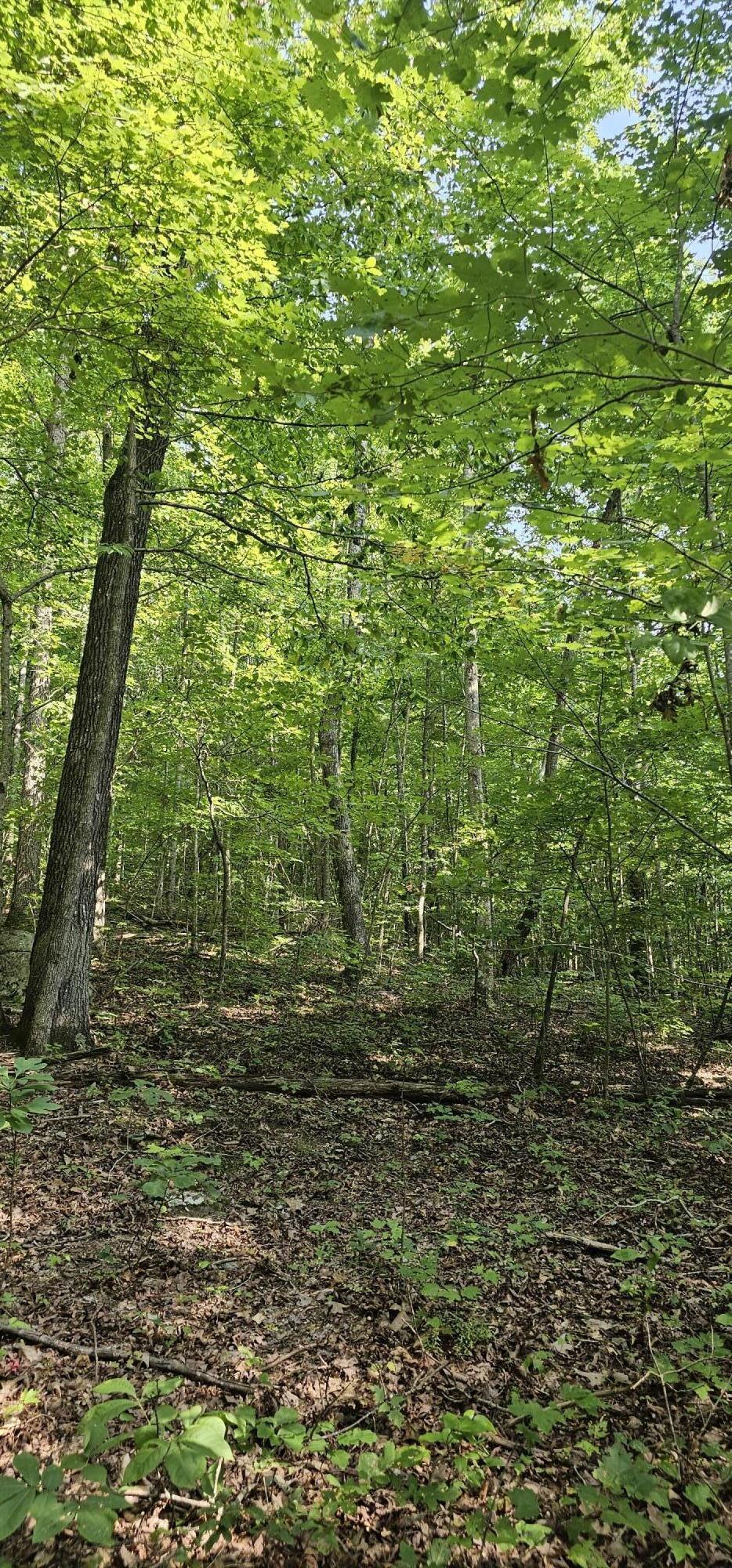 266 Cove Hill Road Pikeville, TN 37367 - Photo 2 of 2 20240807_163103