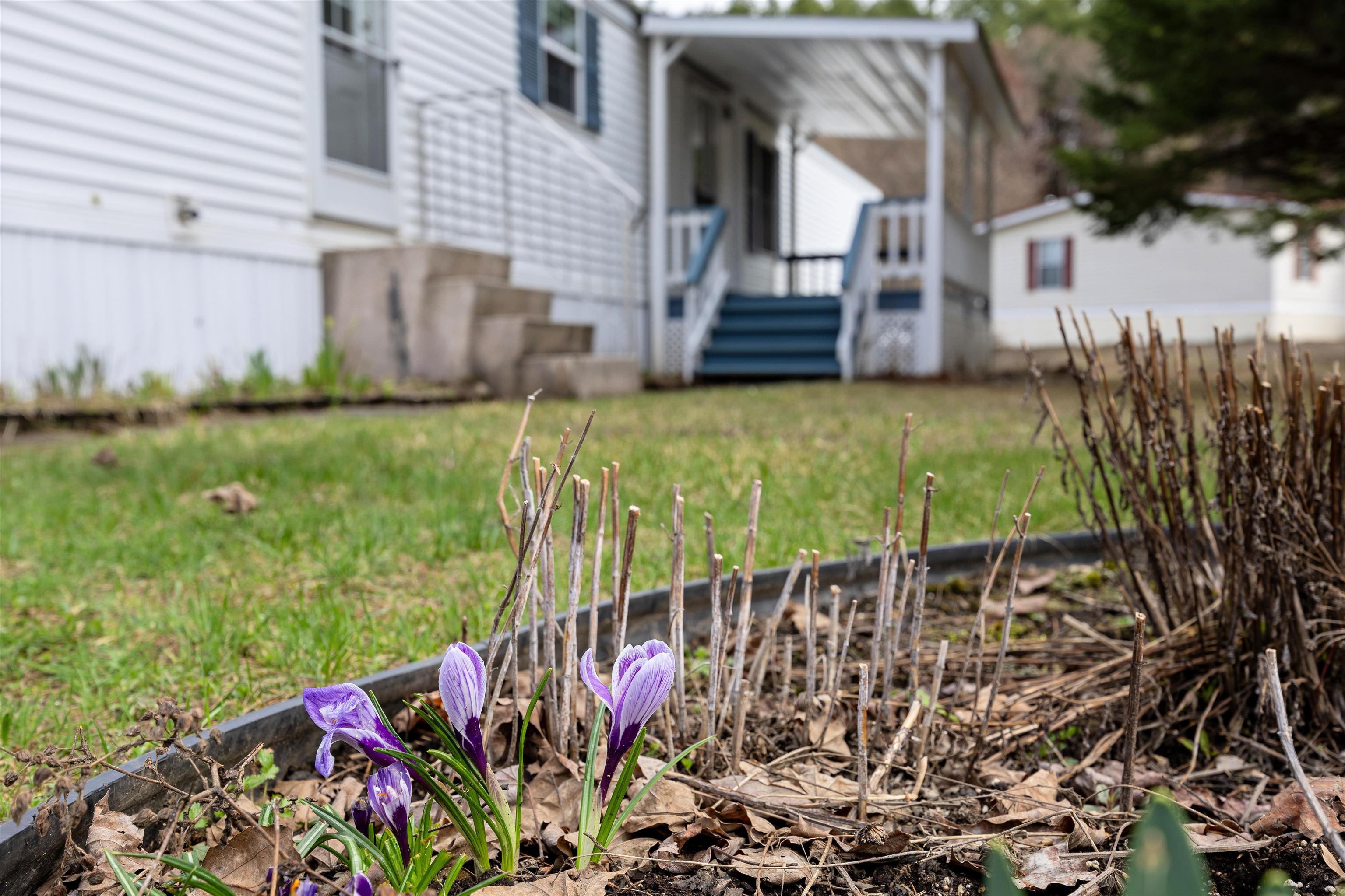 83 Bluebird Lane Lyndon, VT 05851 - Photo 30 of 32