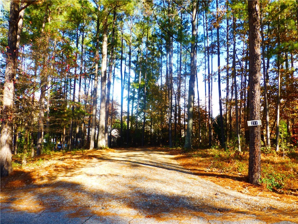 211 Rock Creek Road Anderson, SC 29625 - Photo 2 of 49 Private Lane to Home
