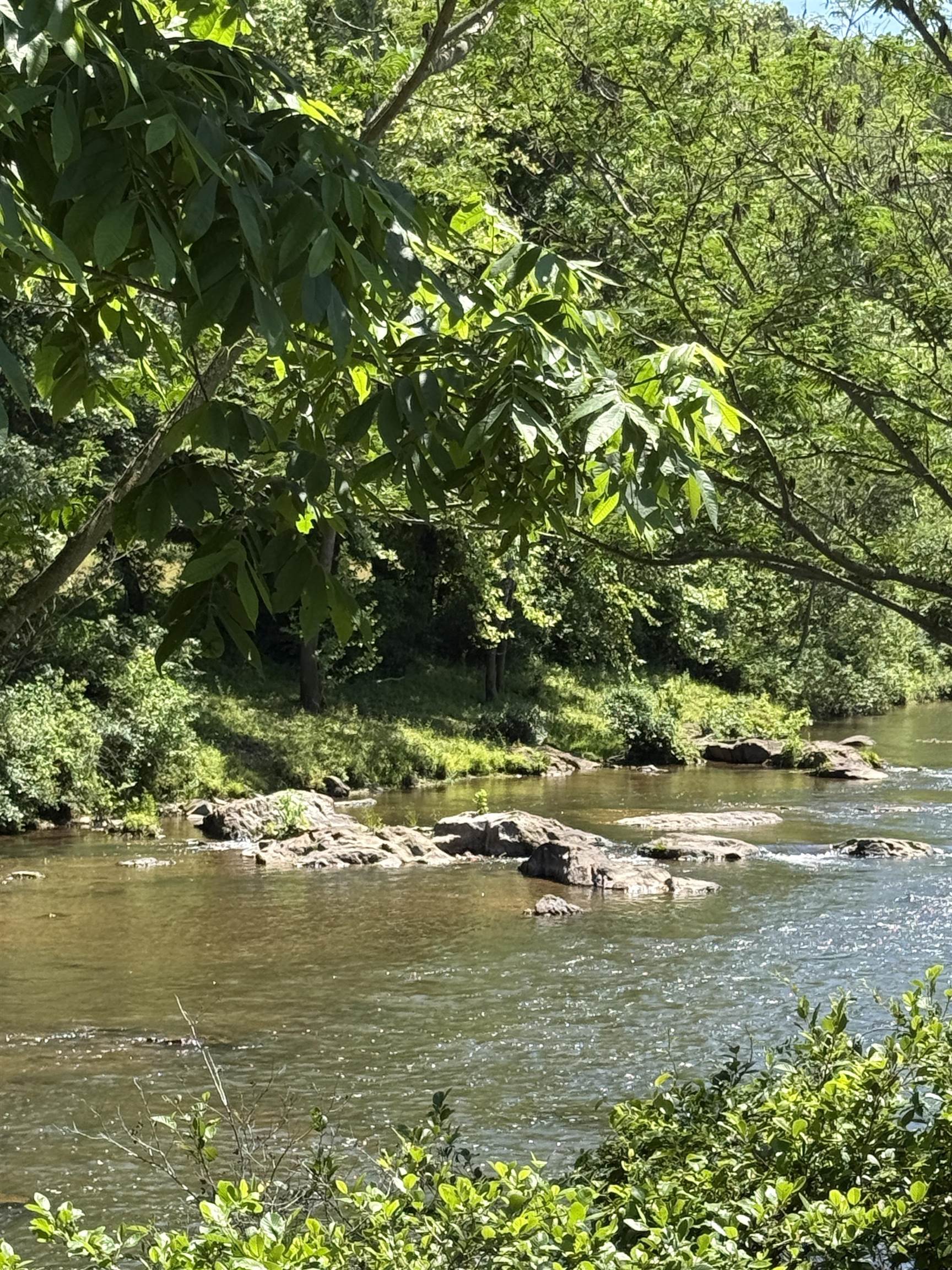 Powells Island Road Arrington, VA 22922 - Photo 6 of 10 Tye River 1