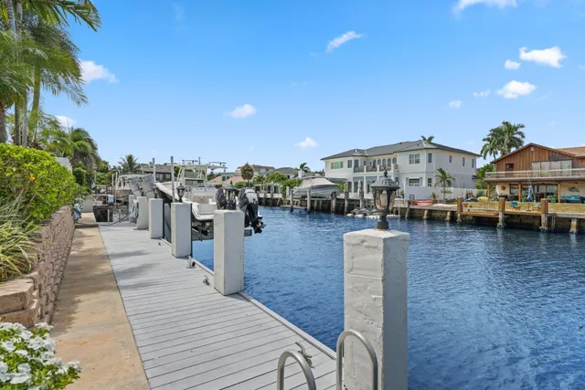 a view of a lake with boats and palm trees