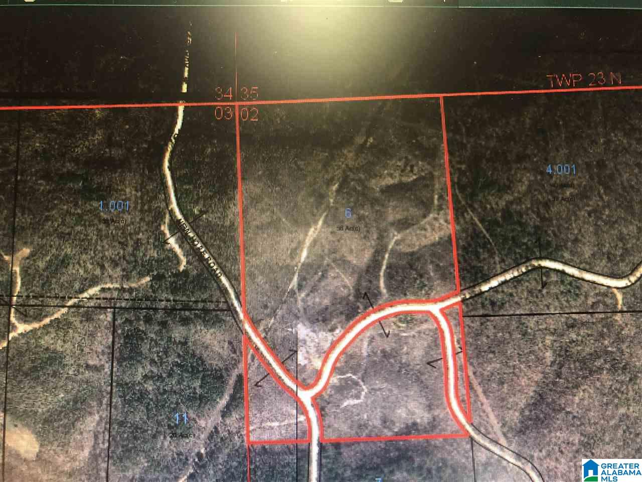 0 County Road 256 Clanton, AL 35046 - Photo 2 of 4