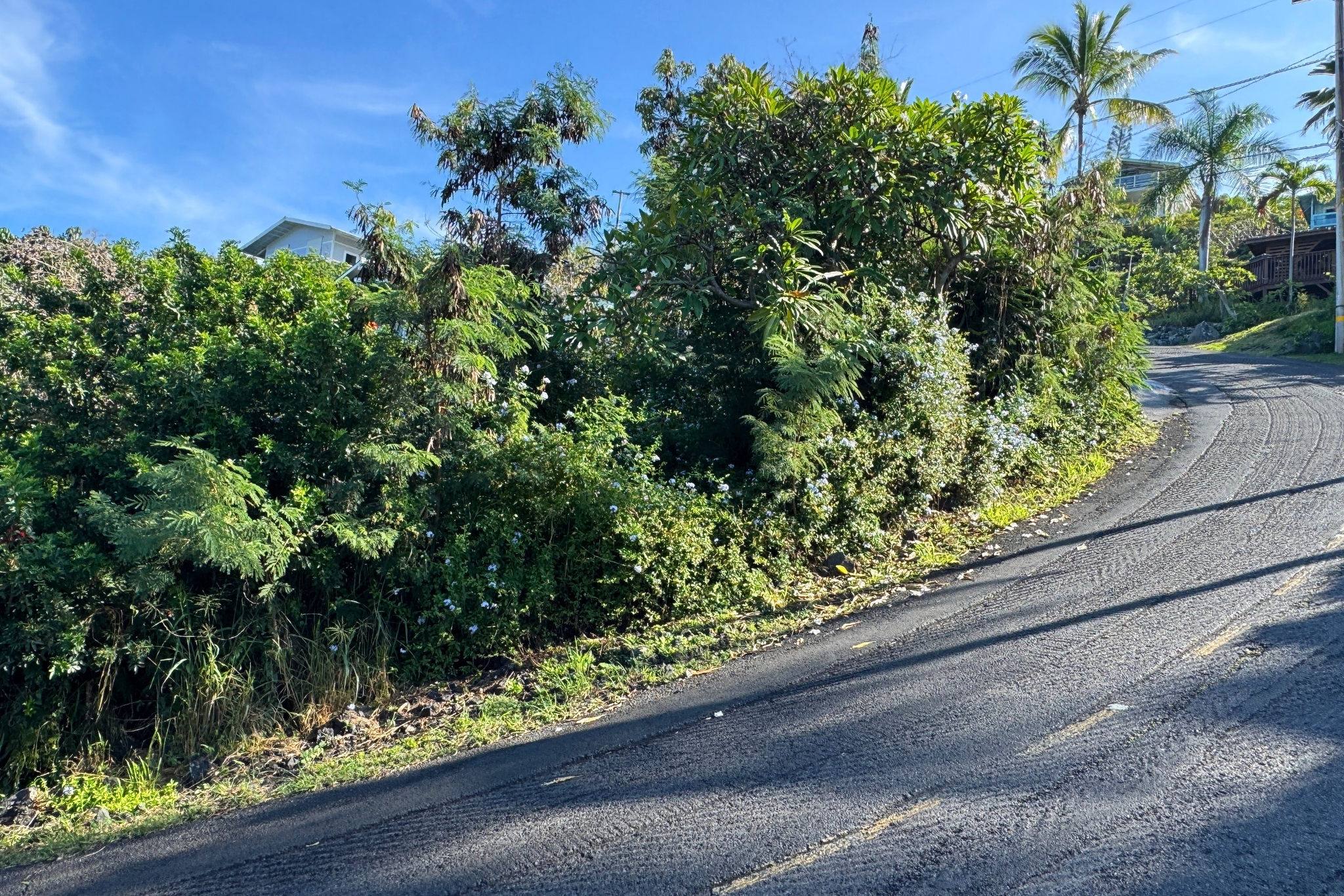 87-435 Kaohe Road Captain Cook, HI 96704 - Photo 4 of 15