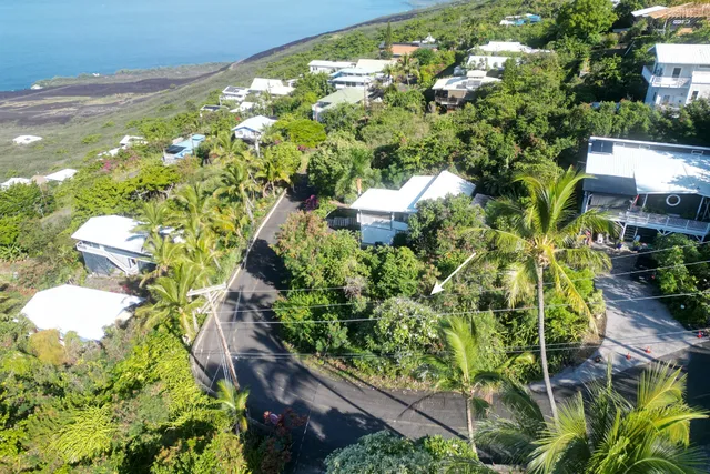 a view of a garden with plants
