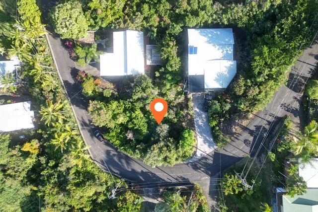 an aerial view of a house with a yard and potted plants