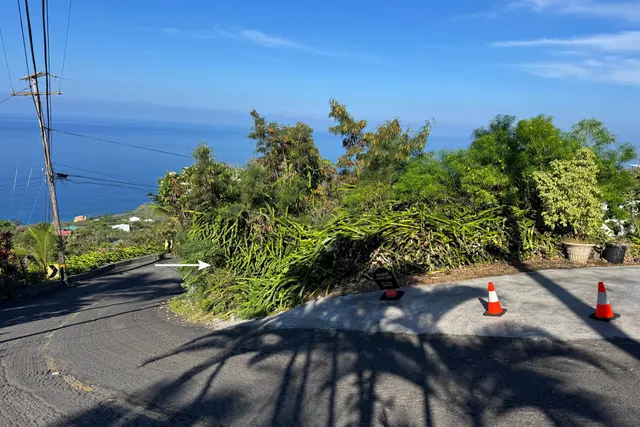 a view of a flower in a garden