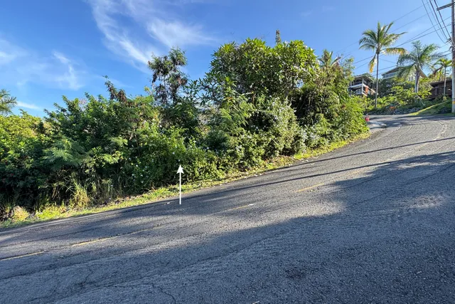 a view of a street with a flower garden