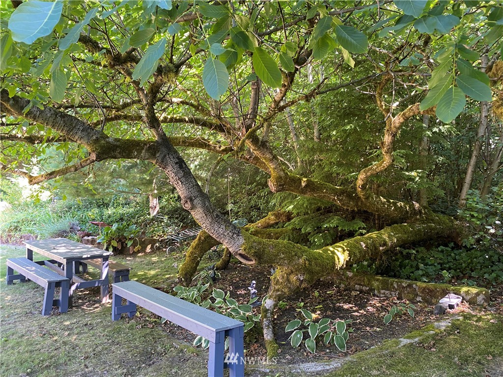 1200 Southeast Deep Lake Road Port Orchard, WA 98367 - Photo 20 of 28 Gallery Image 20