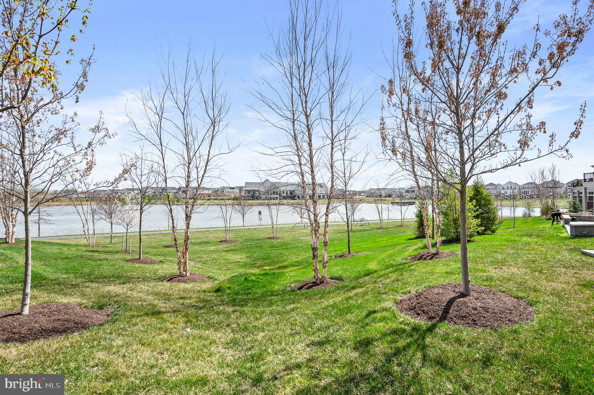 42791 Macbeth Terrace Ashburn, VA 20148 - Photo 47 of 63 a view of a backyard with green space