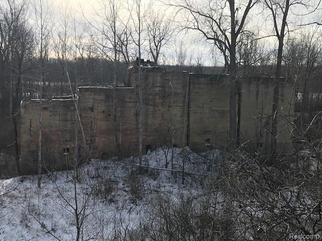 Kelly Rd Kelly Road Cass City, MI 48726 - Photo 10 of 22