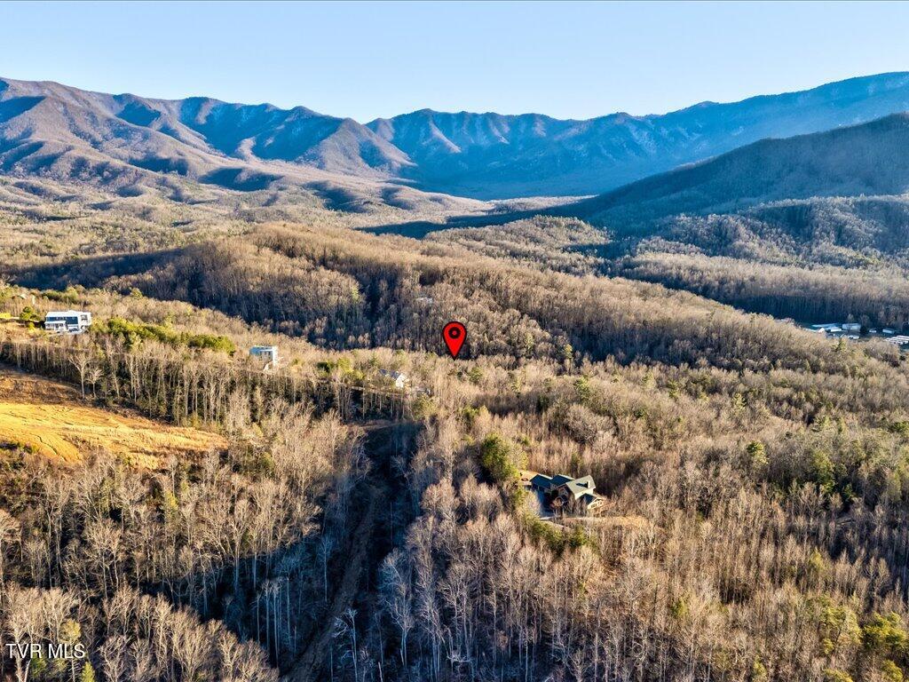 Lot 31 Sonshine Ridge Road, Unit 31 Cosby, TN 37722 - Photo 11 of 25 Lot 31 Sonshine Ridge Rd - 11