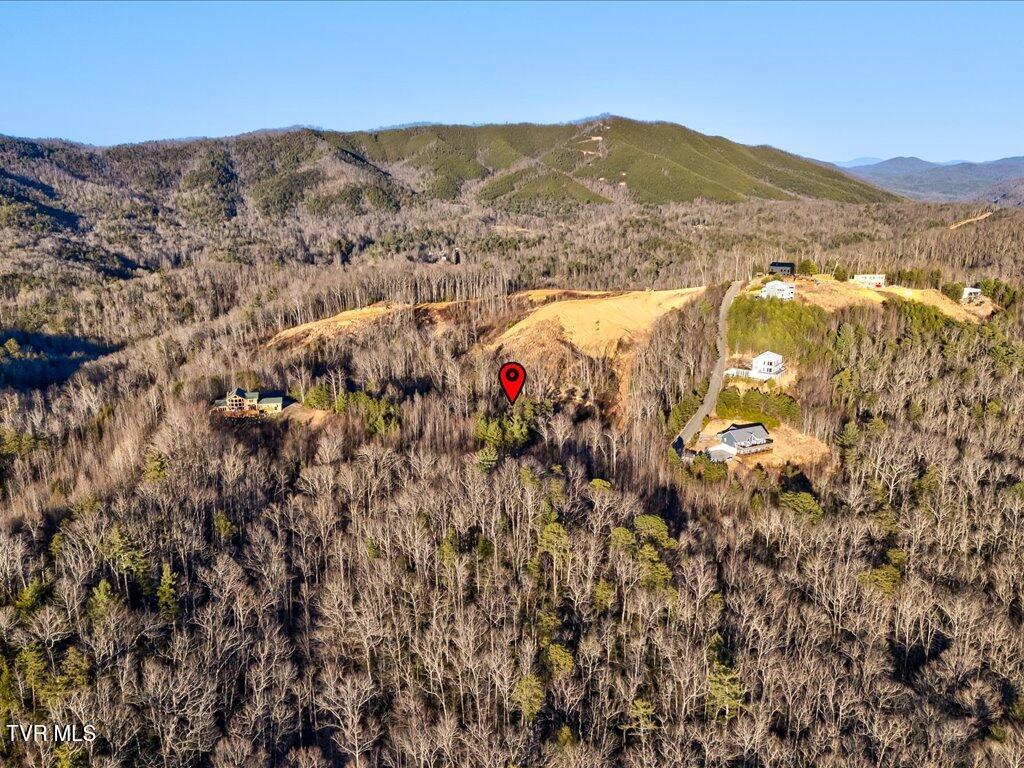 Lot 31 Sonshine Ridge Road, Unit 31 Cosby, TN 37722 - Photo 12 of 25 Lot 31 Sonshine Ridge Rd - 12