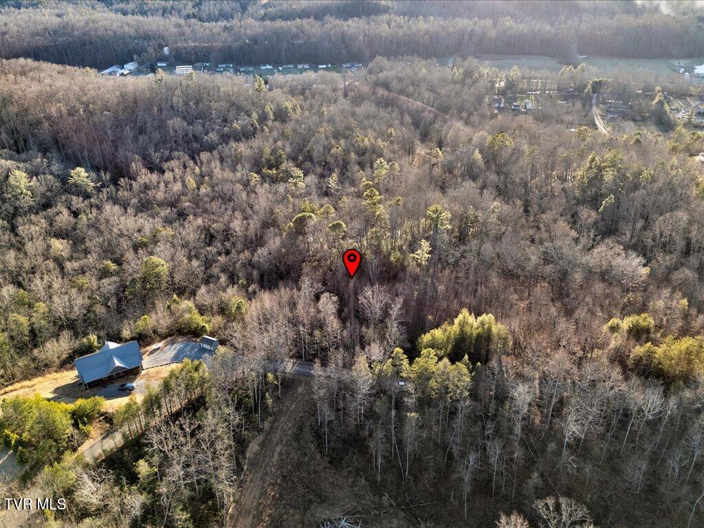 Lot 31 Sonshine Ridge Road, Unit 31 Cosby, TN 37722 - Photo 16 of 25 Lot 31 Sonshine Ridge Rd - 16